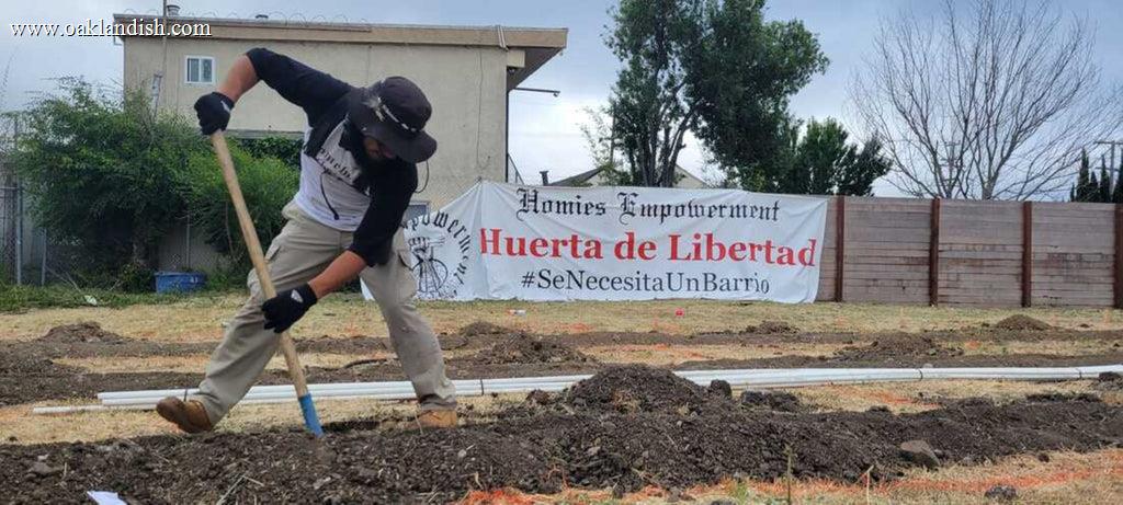 Image of a volunteer digging a planter box.