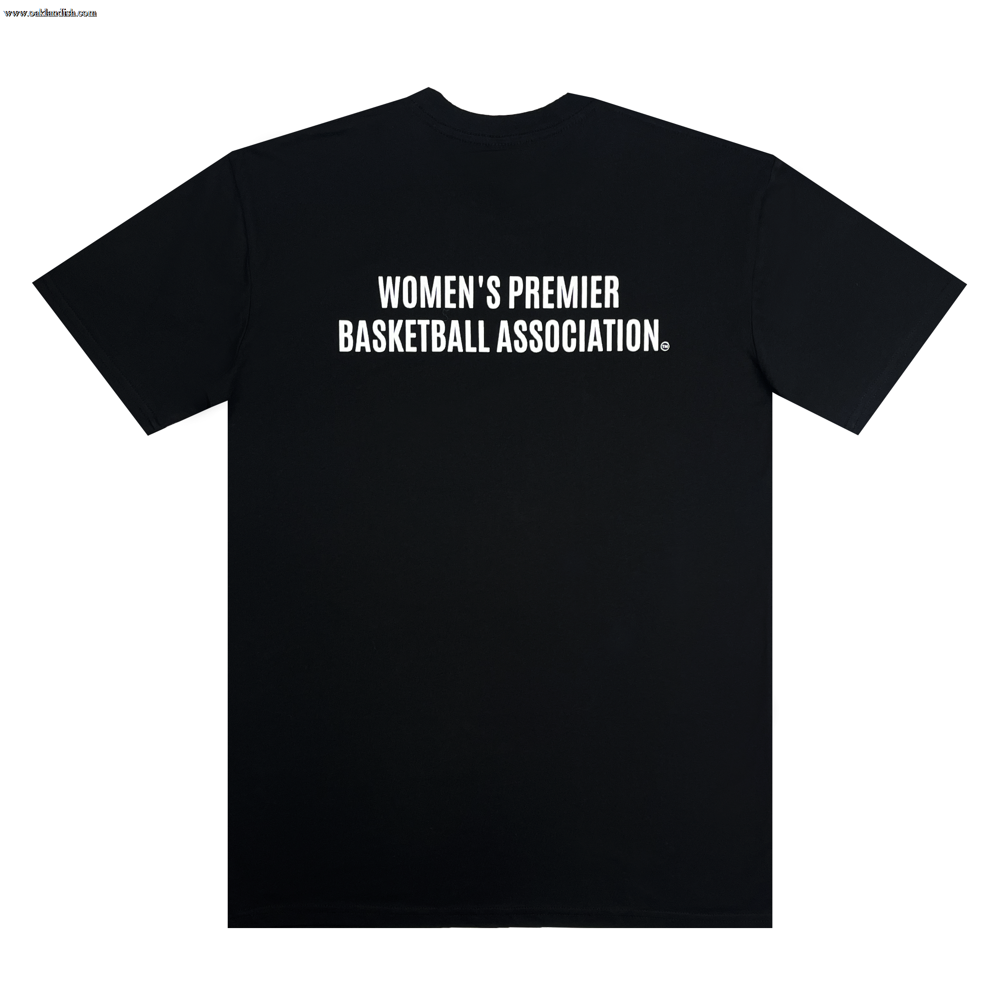 Back view of black WPBA hoodie with Women's Premier Basketball Association.